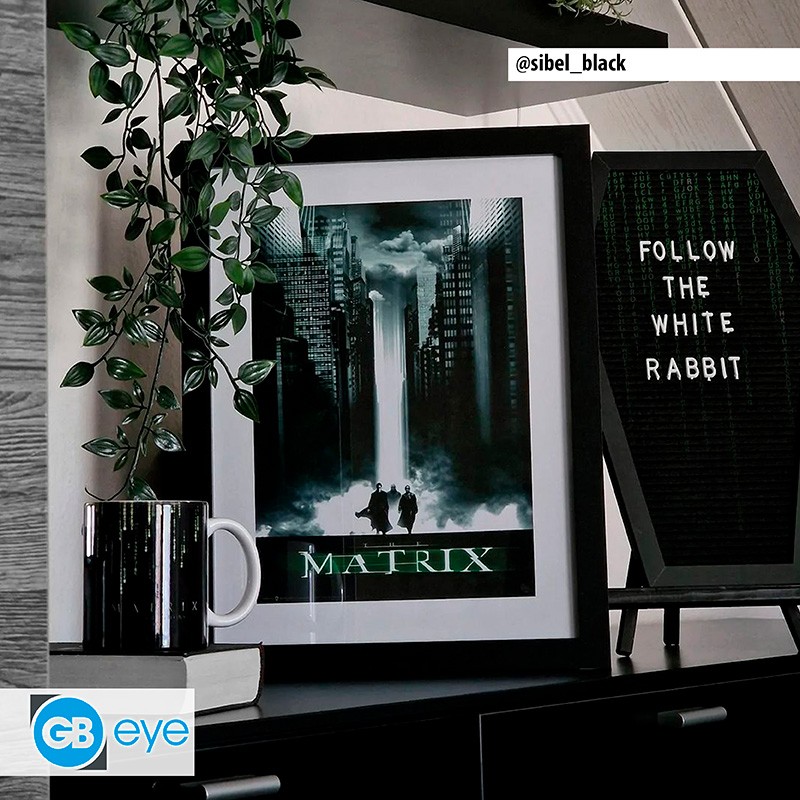 MATRIX Framed print The Matrix