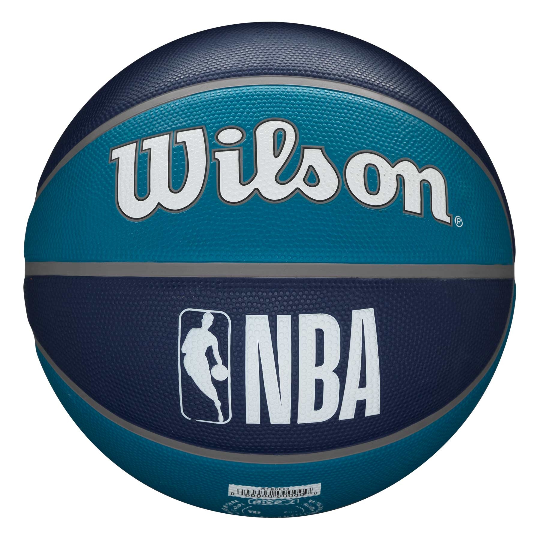 Charlotte Hornets Team Tribute Wilson NBA Basketball (Size 7)