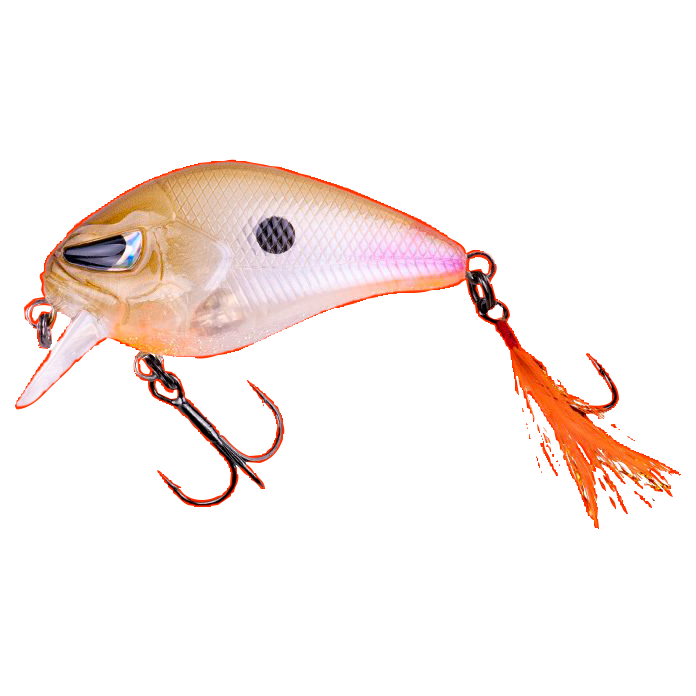 Zeck Danny (Wagasaki BA)