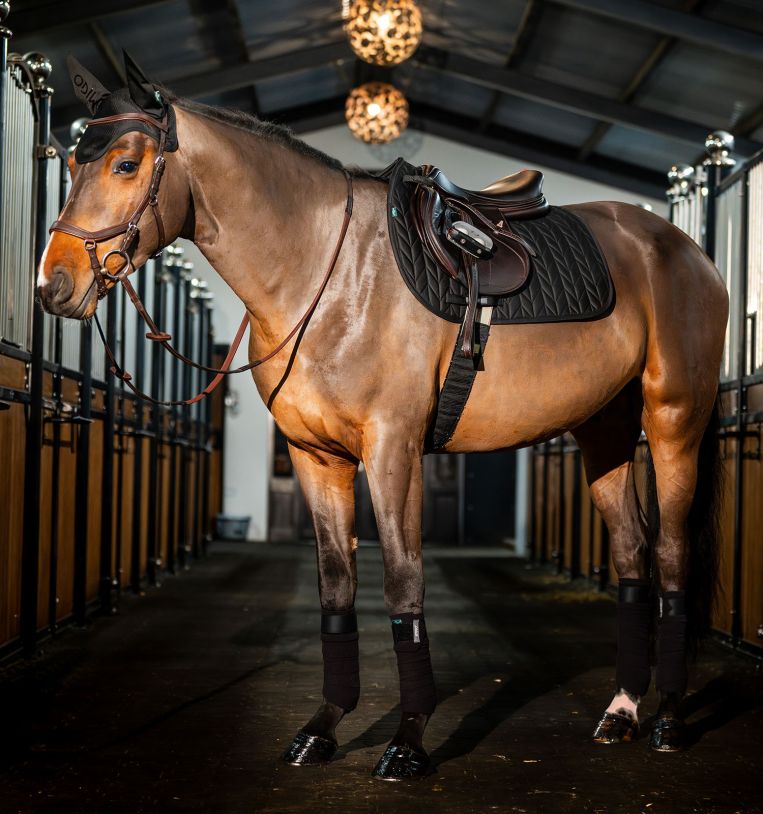 Amigo® Close Contact Saddle Pad
