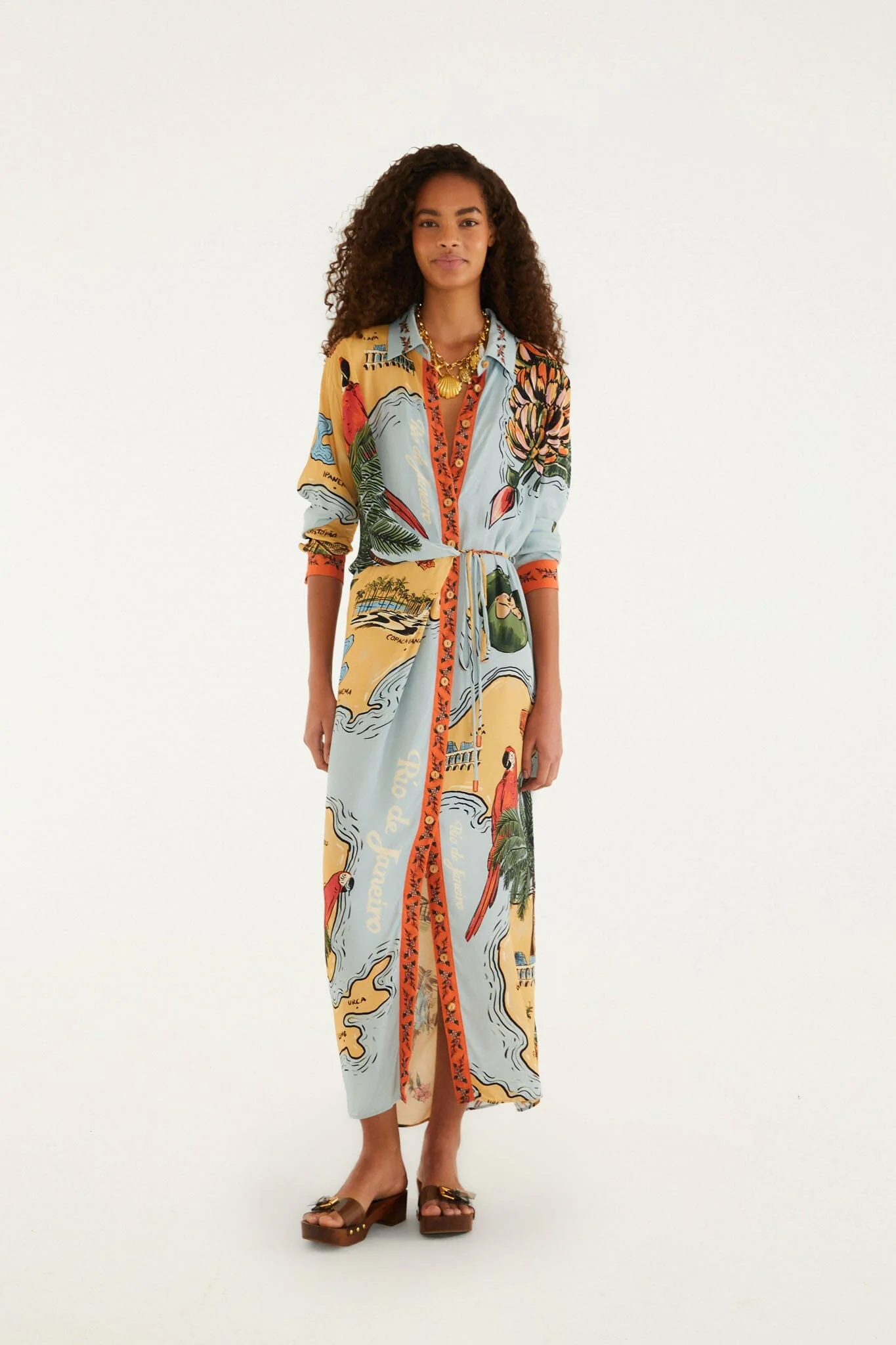 Multicolor Beaches Path Collared Buttoned Maxi Dress