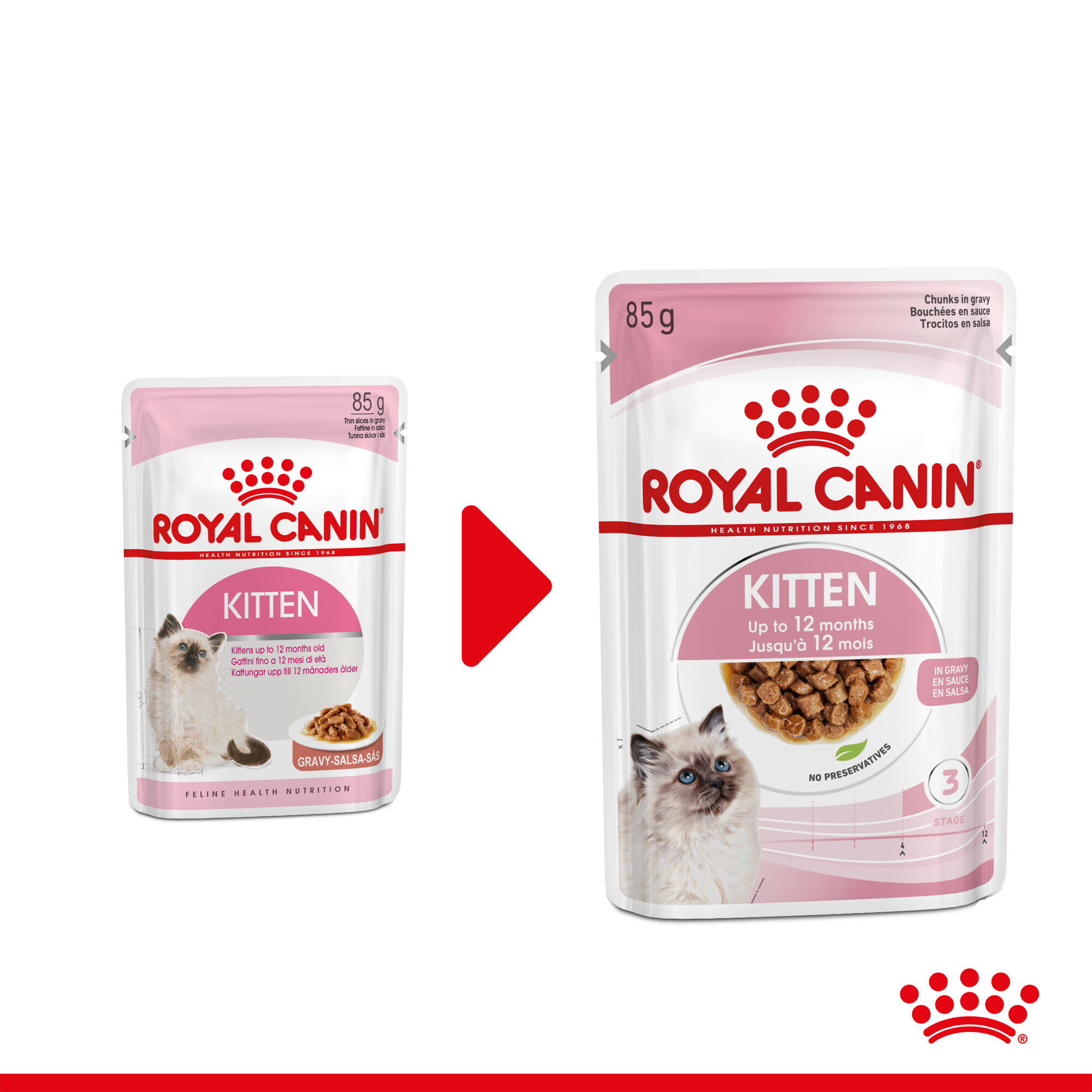 Royal Canin Kitten in Gravy - 12 x 85 g