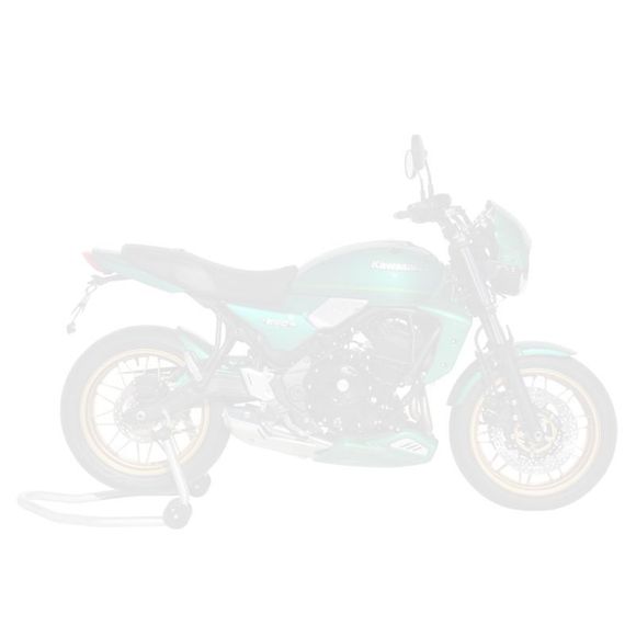 Ecope de radiateur Ermax KAWASAKI Z650RS - Noir / VertRef : EM1934