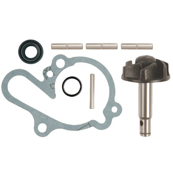 Kit repair Kit Tecnium Water Pump Parts - EngineRef: Te02452A / 1008721