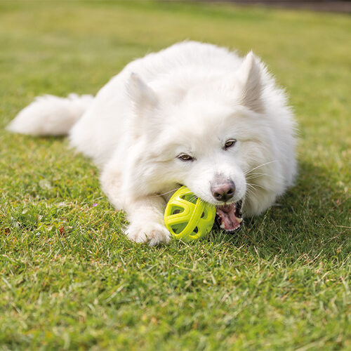 Trixie Honeycomb Rugby Ball