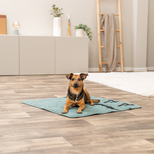 Trixie CityStyle Travel Blanket - Light gray - 80 x 80 cm