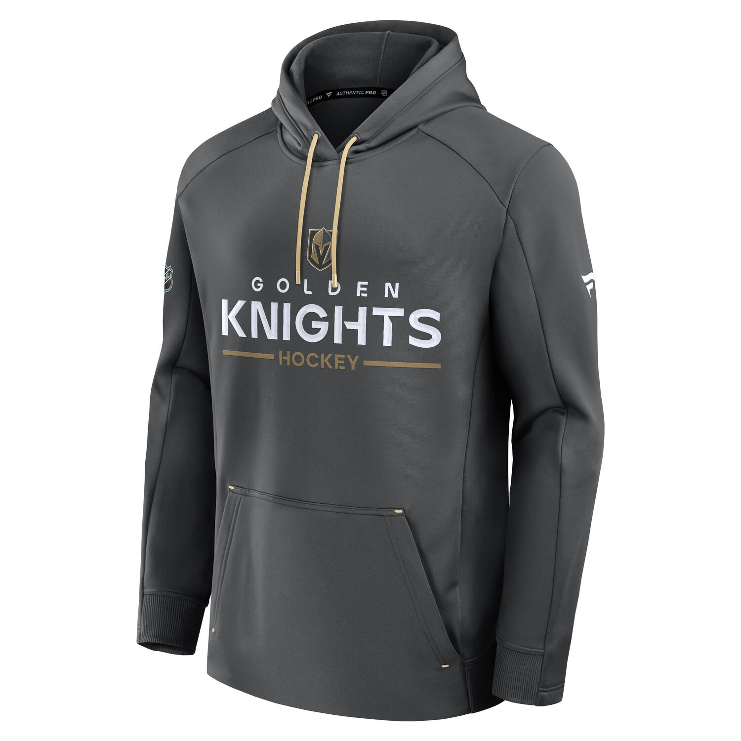 Vegas Golden Knights 2025/26 Authentic Pro Rink Tech NHL Hoodie Charcoal