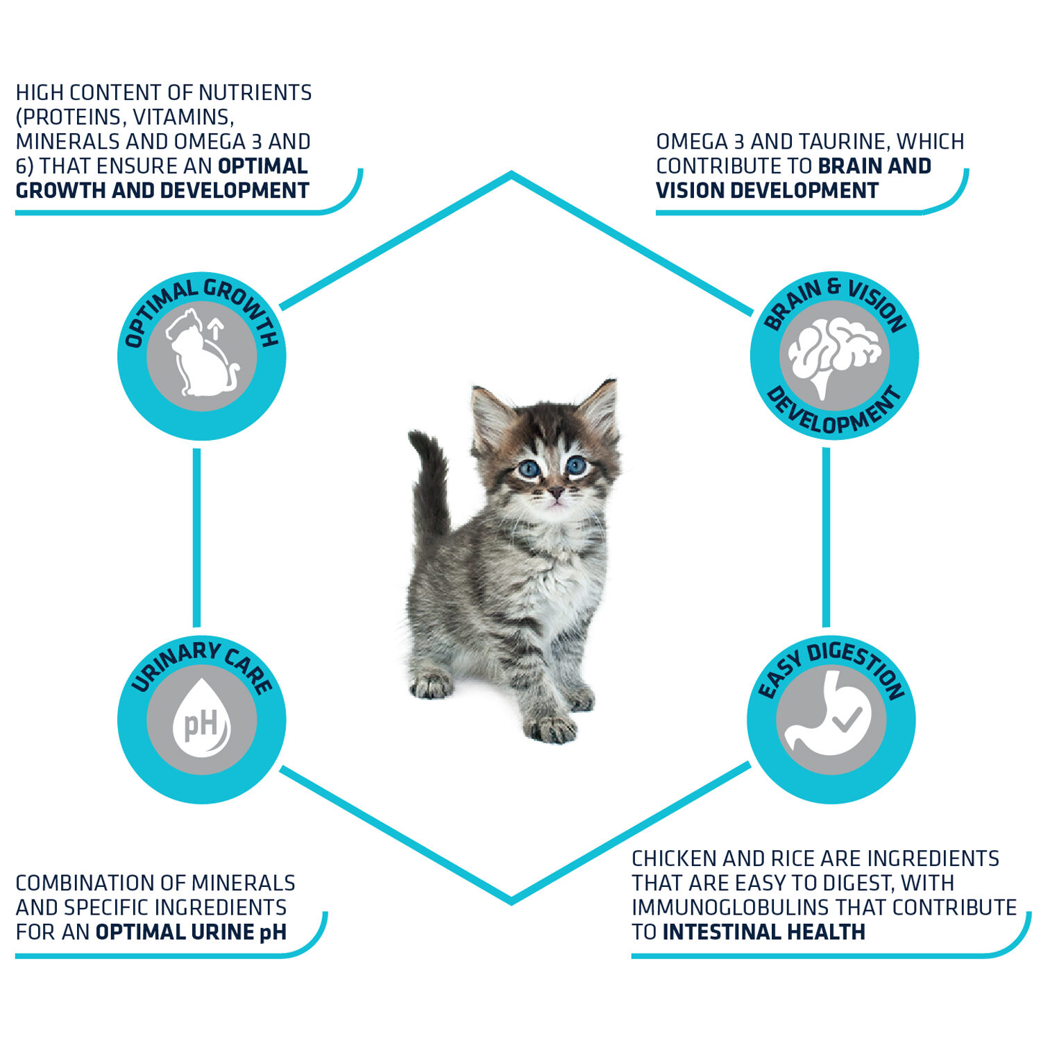 Affinity Advance Kitten - Chicken and Rice - 1.5 kg