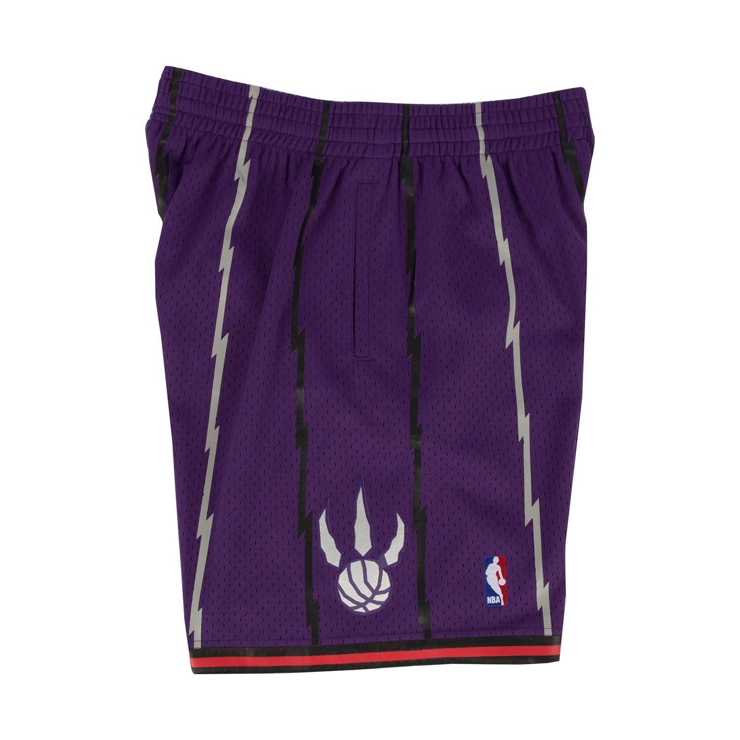 Toronto Raptors 1998-99 Mitchell & Ness Swingman NBA Shorts Purple