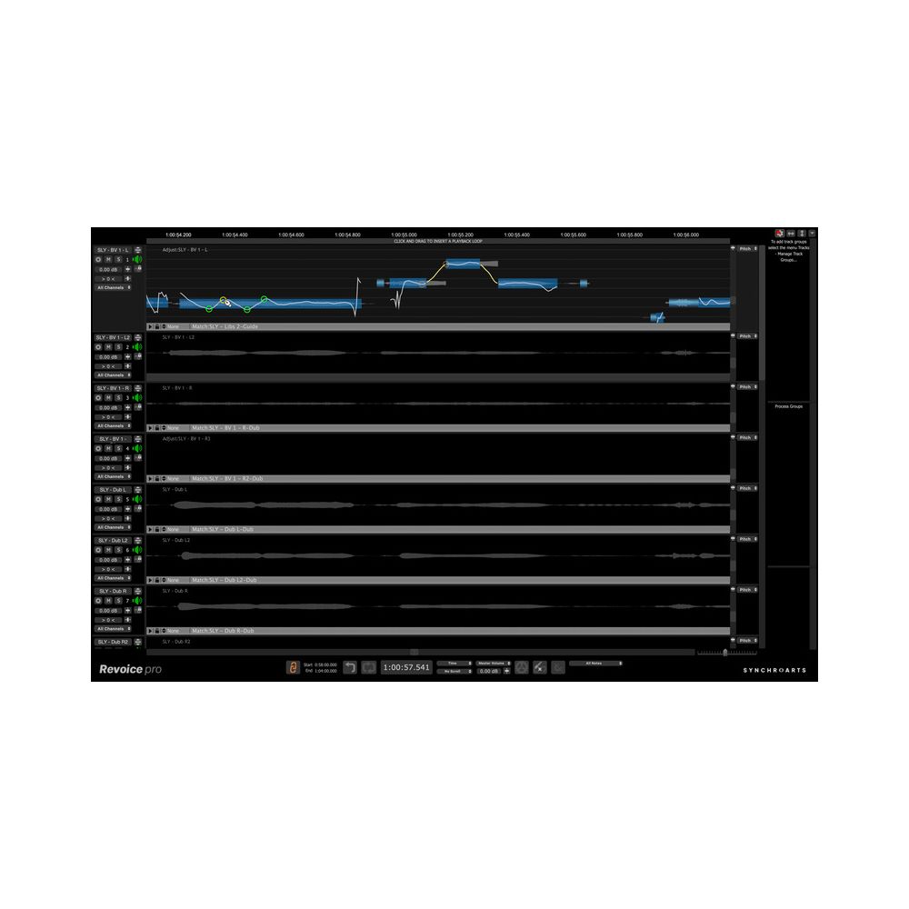 Synchro Arts Revoice Pro 5 UG Revoice Pro 4 – Thomann Ireland
