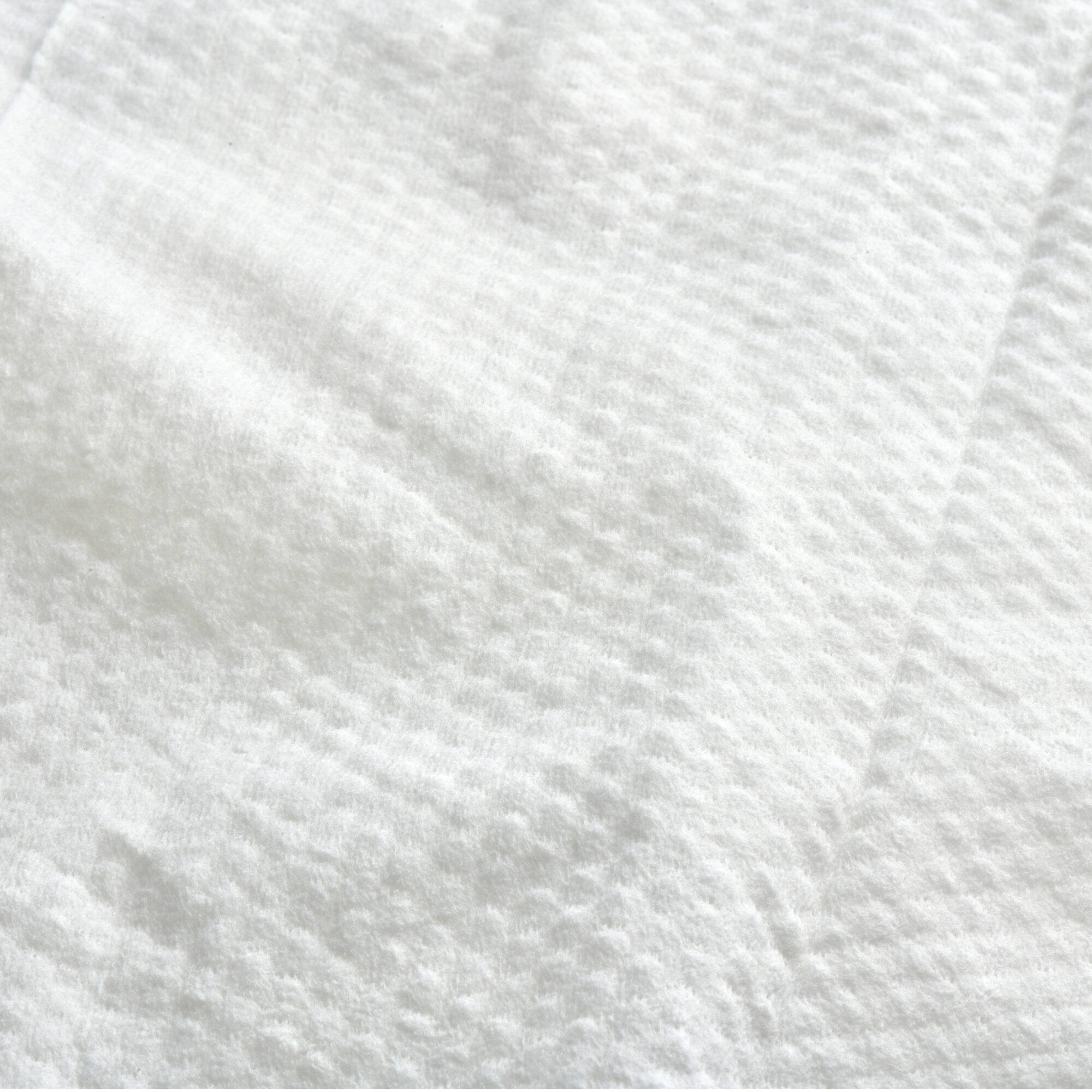 Beco Dog Ear Wipes - Coconut - 70 units