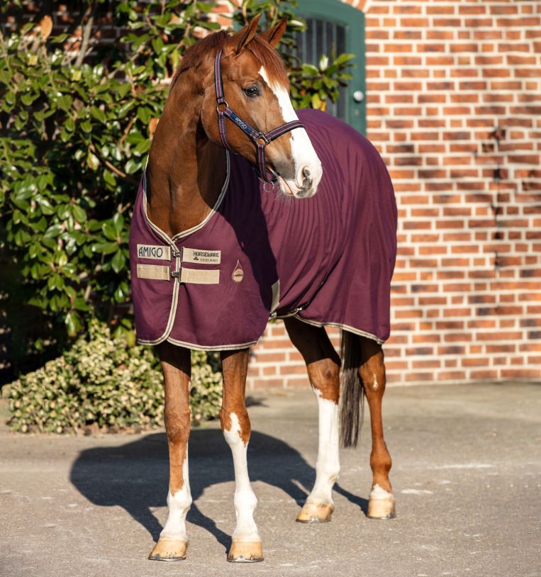 Amigo® Stable Sheet