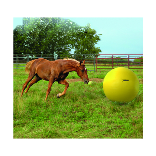Maximus Power Play Ball - 65cm