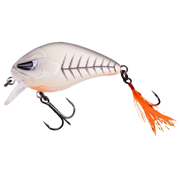 Zeck Danny (Spook BA)