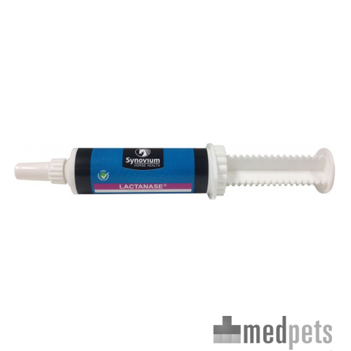 Synovium Lactaplus Paste - 60g