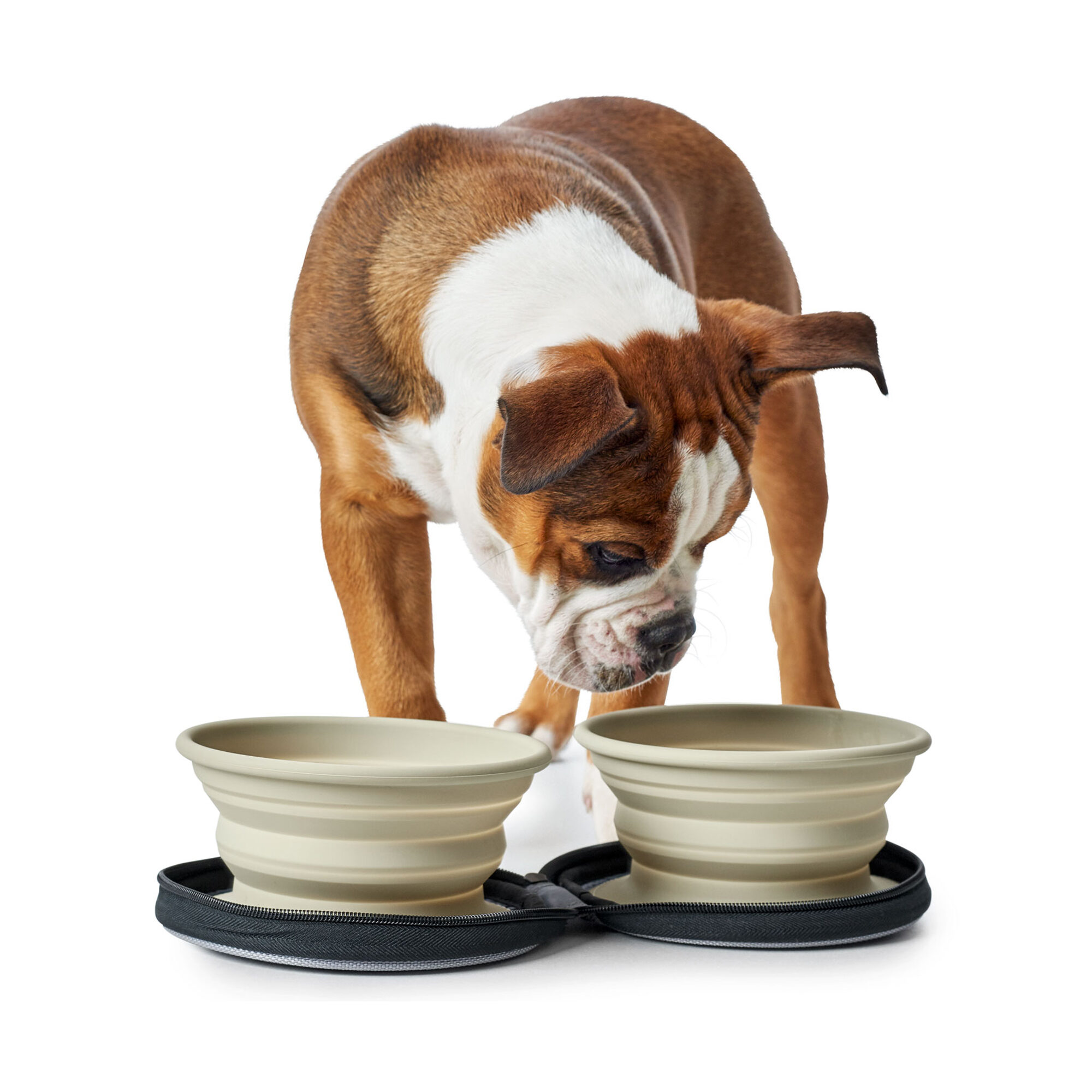 Hunter Silicone Travel Bowls with Bag - Beiger