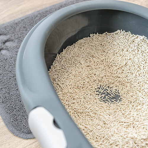 Trixie Tofu Cat Litter - 6l