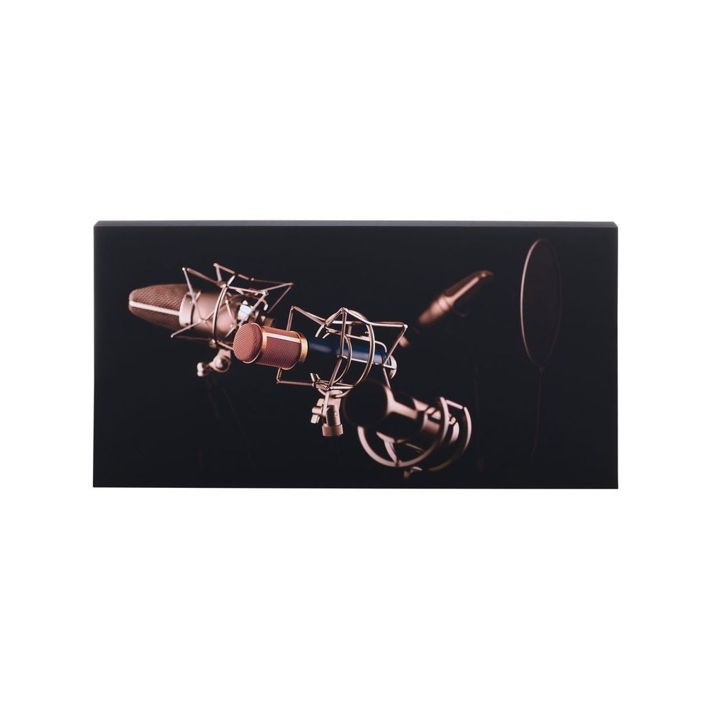 t.akustik Print Panel Mic Check – Thomann Ireland