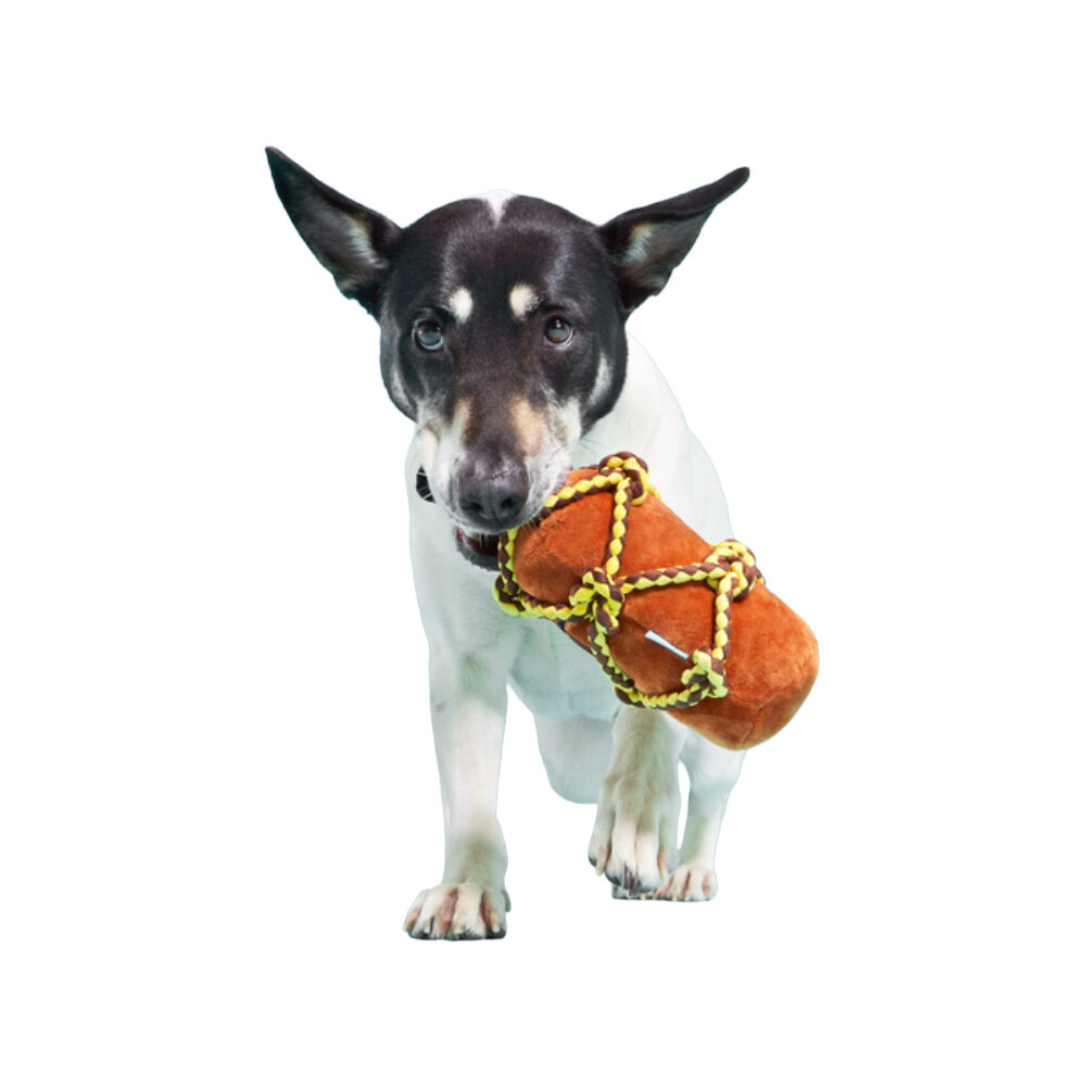 Bark Barkbeard's Rum Bottle with Rope Toy