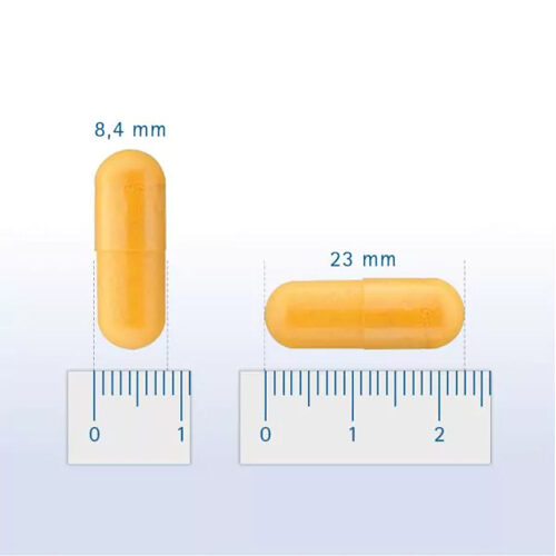 Pharmox - Green-lipped mussel HK - 60 capsules