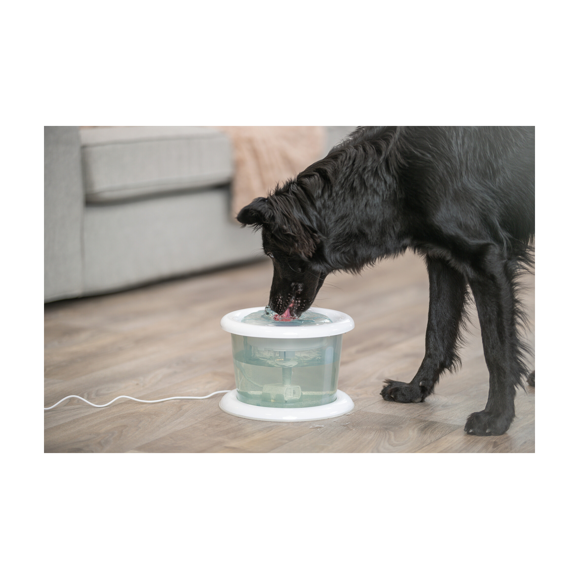 Trixie Bubble Stream Drinking Fountain