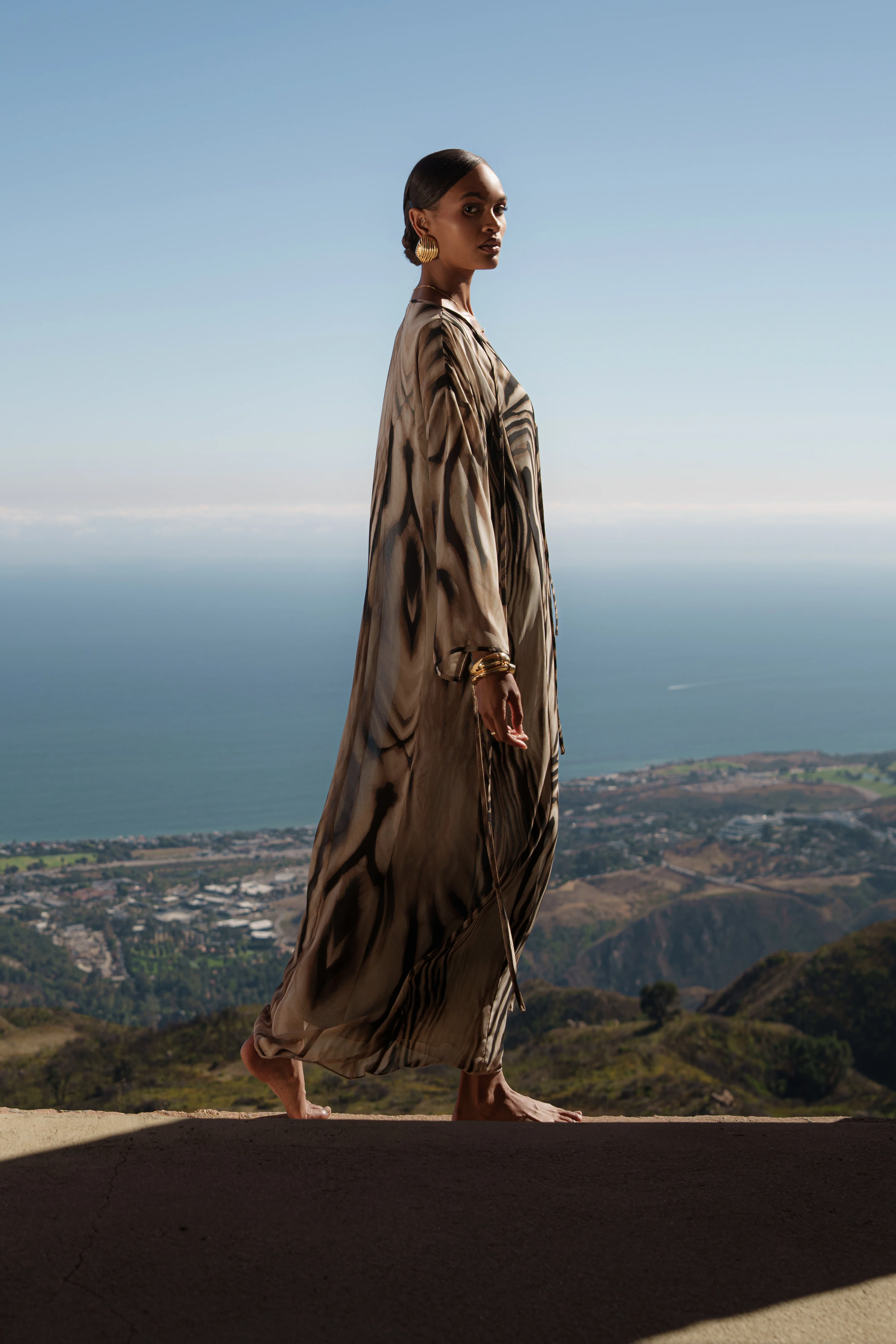 Brown Zebra Print New Vista Maxi Dress