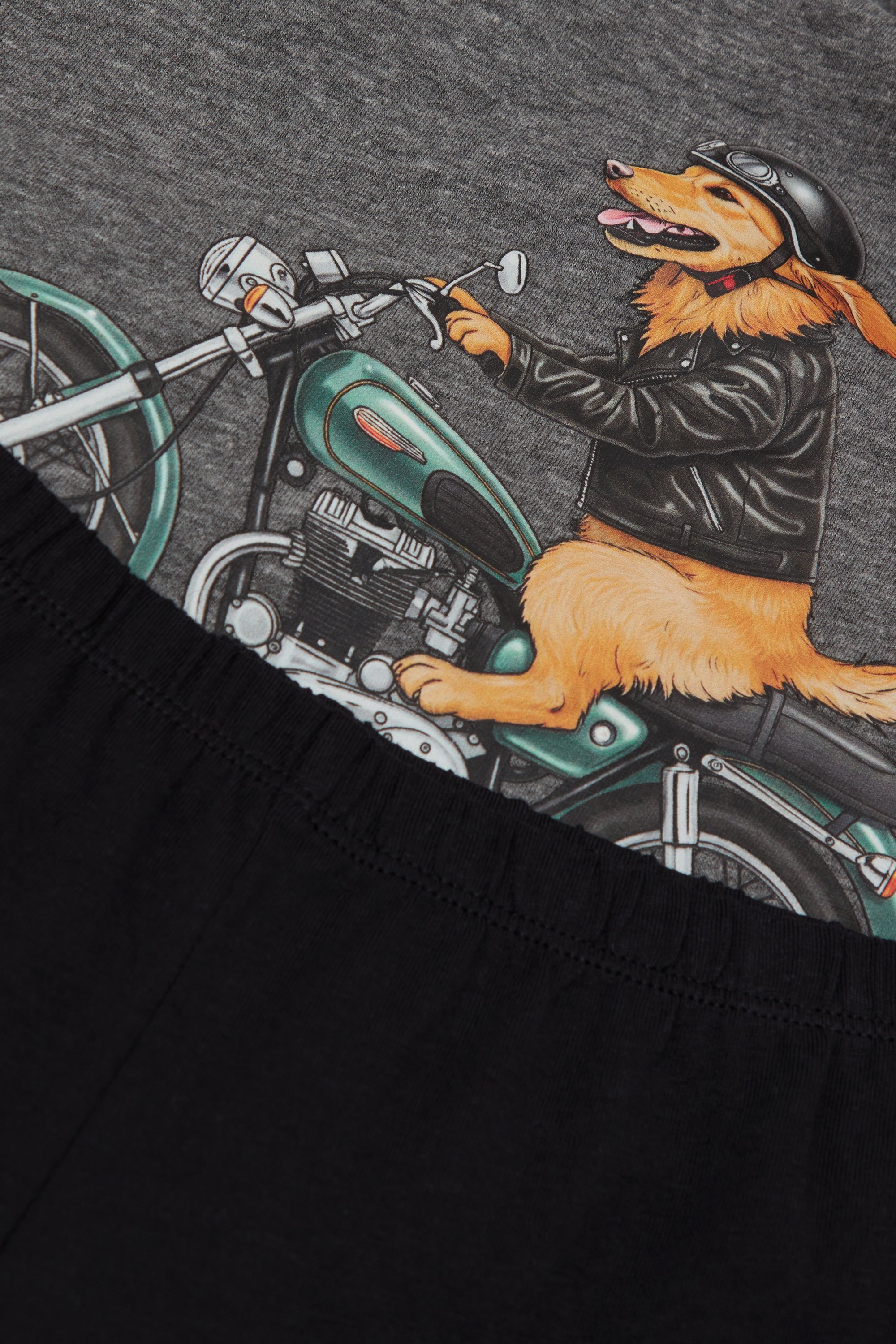 Boys’ Motorcycling Dog Print Short Cotton Pyjamas