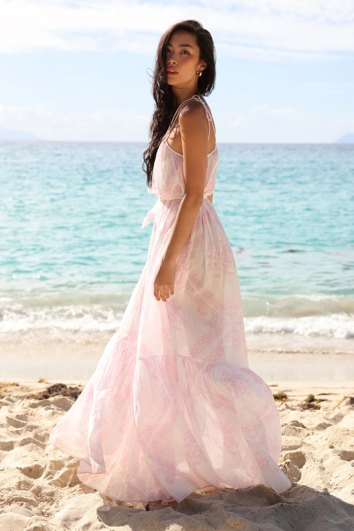 Hale Cotton Toile Print Cover-Up Dress