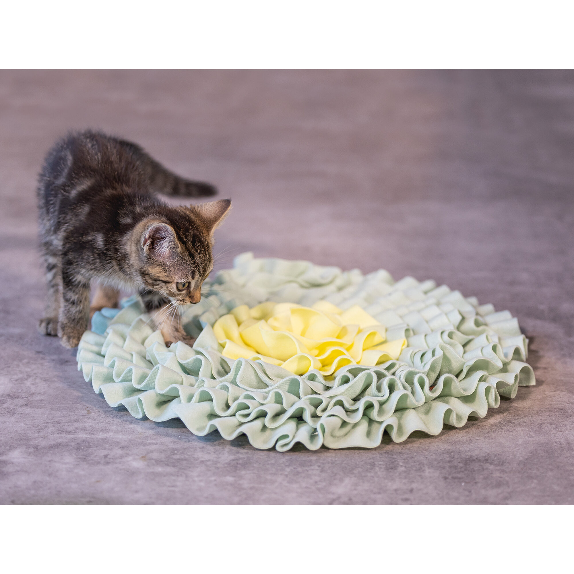 Beeztees Kitten Sniffing Mat Flowie - 38 x 38 x 3 cm
