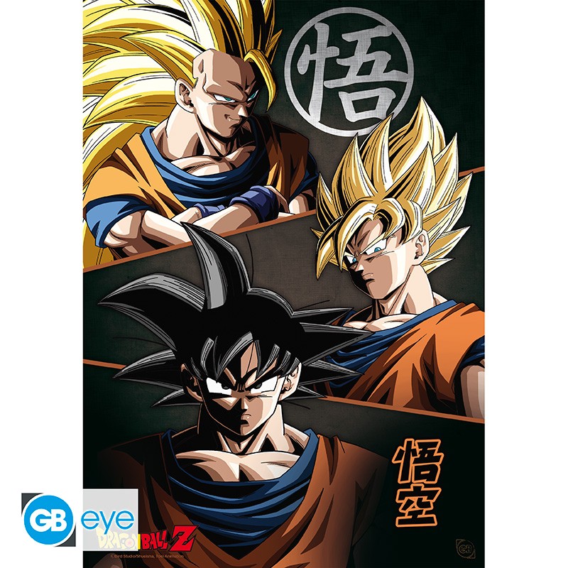DRAGON BALL Z Portfolio 9 posters Group (21x29,7)