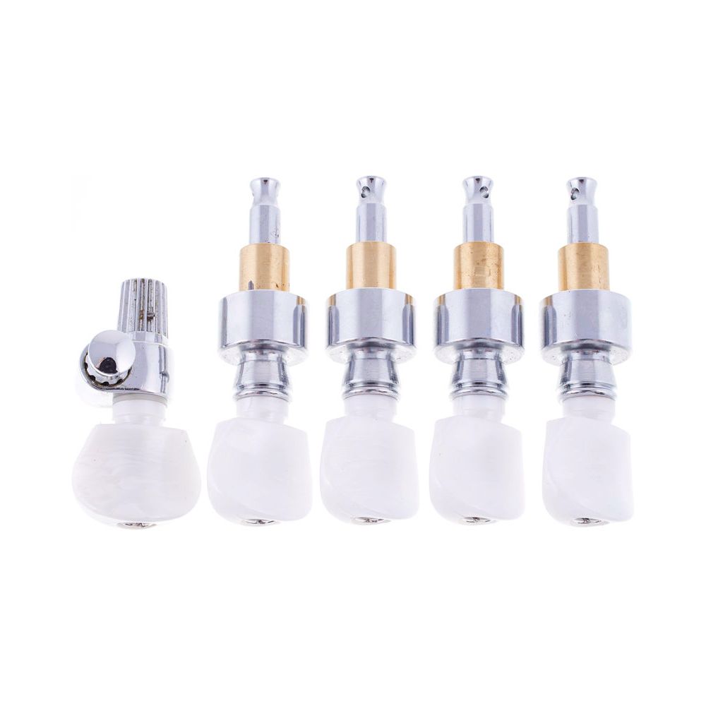 Harley Benton Parts Deluxe 5 Banjo Key Set – Thomann Ireland