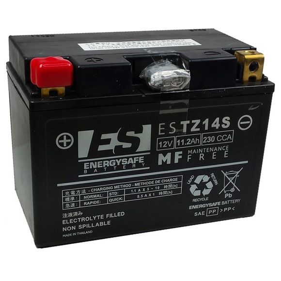 Batterie EnergySafe ESTZ14S ferme Type Acide Sans entretien/prête à l'emploiRef : E49147