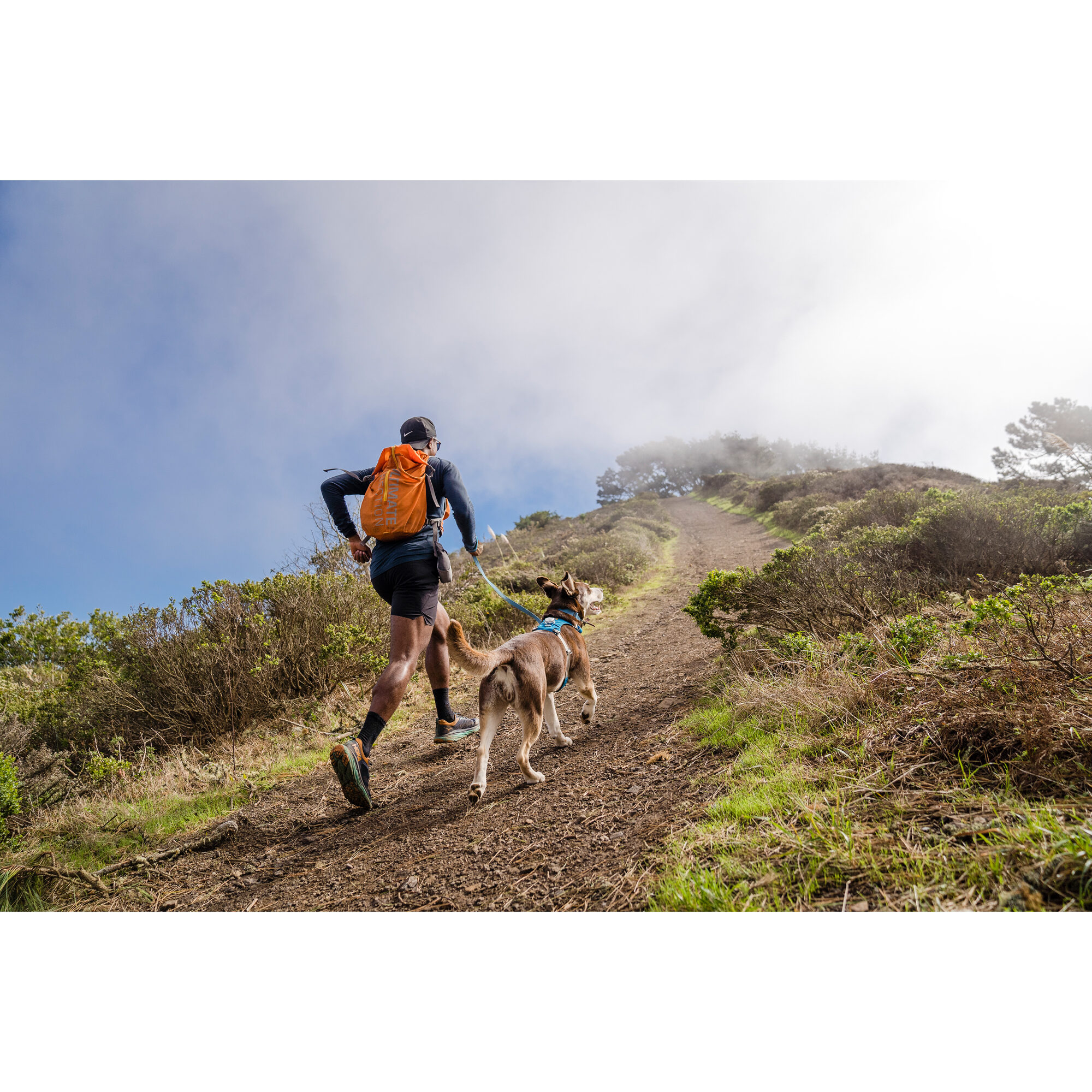 Ruffwear Hi & Light Harness - Lichen Green - XXXSr