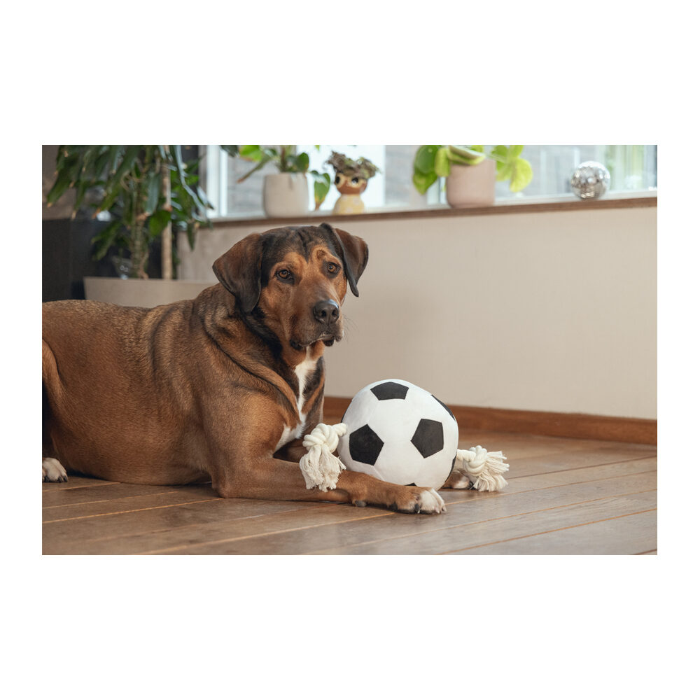 Beeztees Football with Rope - 27 cm