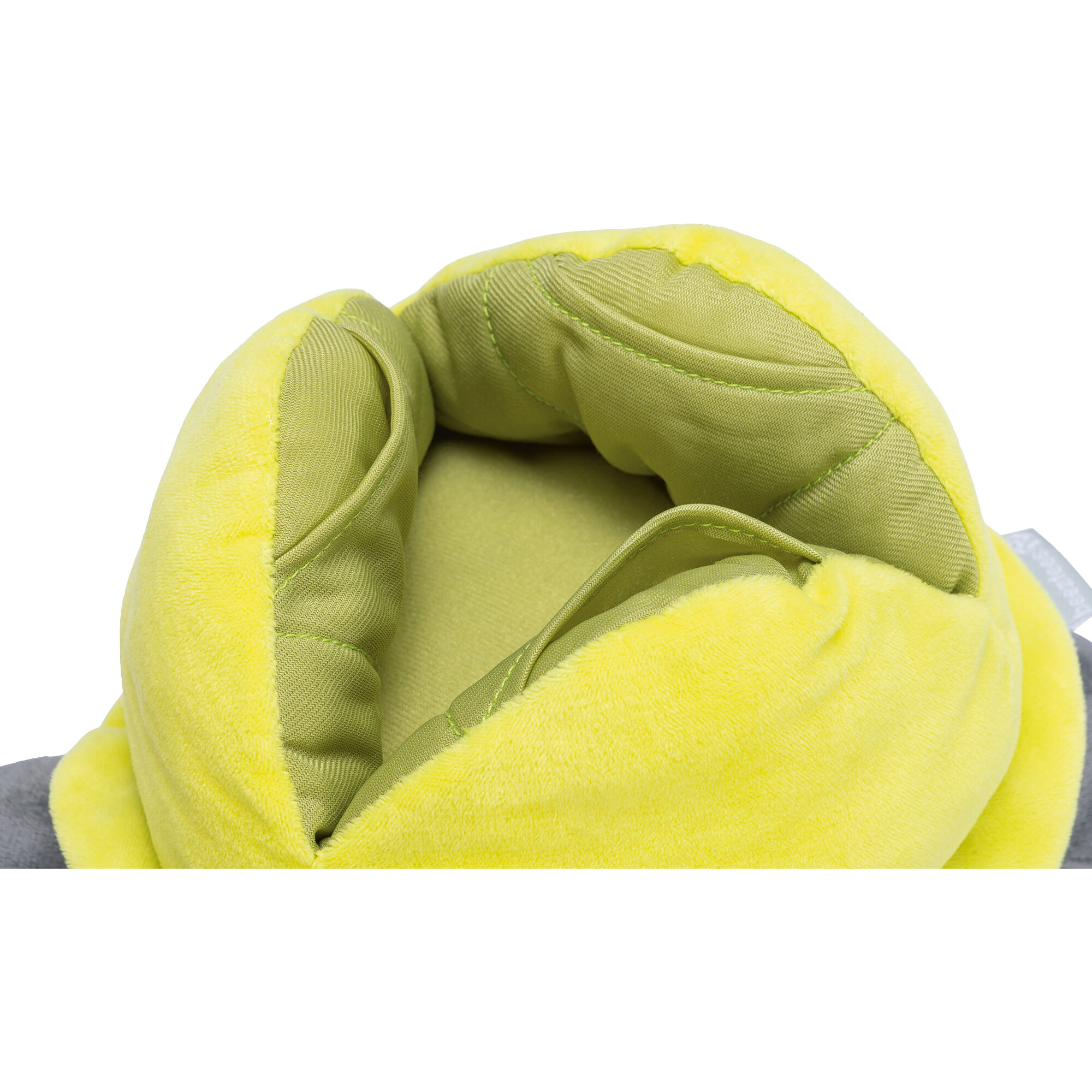 Beeztees Hide And Seek Turtle