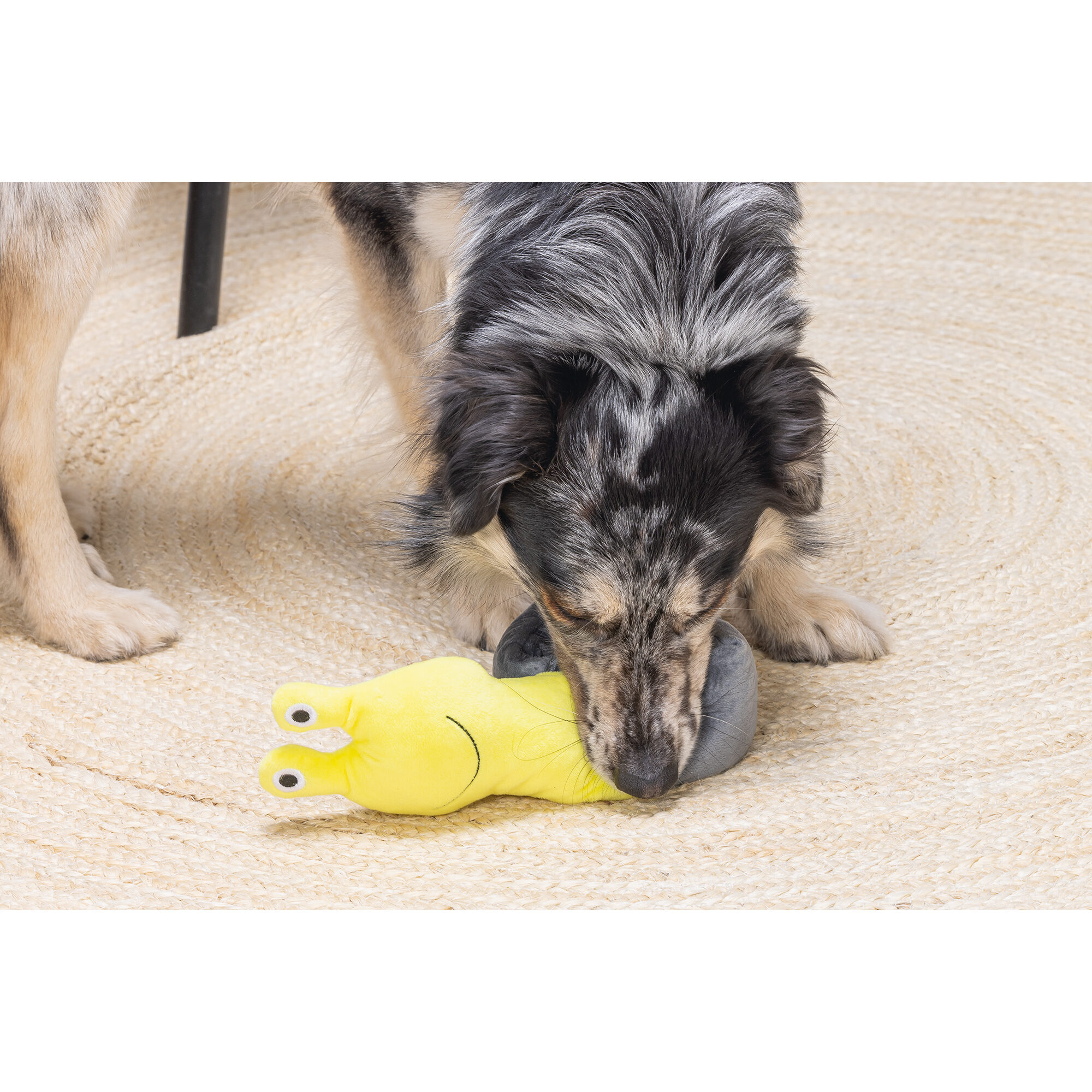 Beeztees Hide And Seek Snail