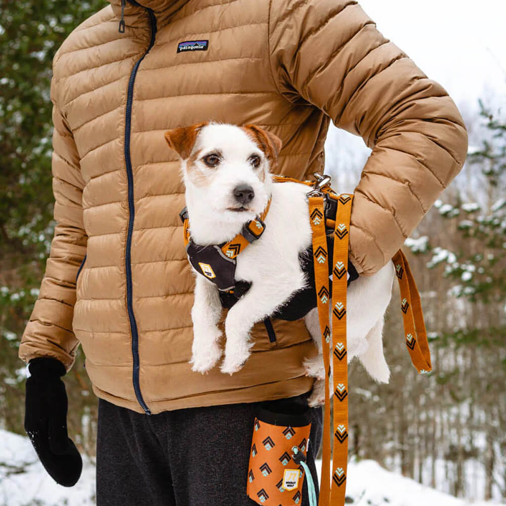 Woolly Wolf Sea To Summit Dog Leash