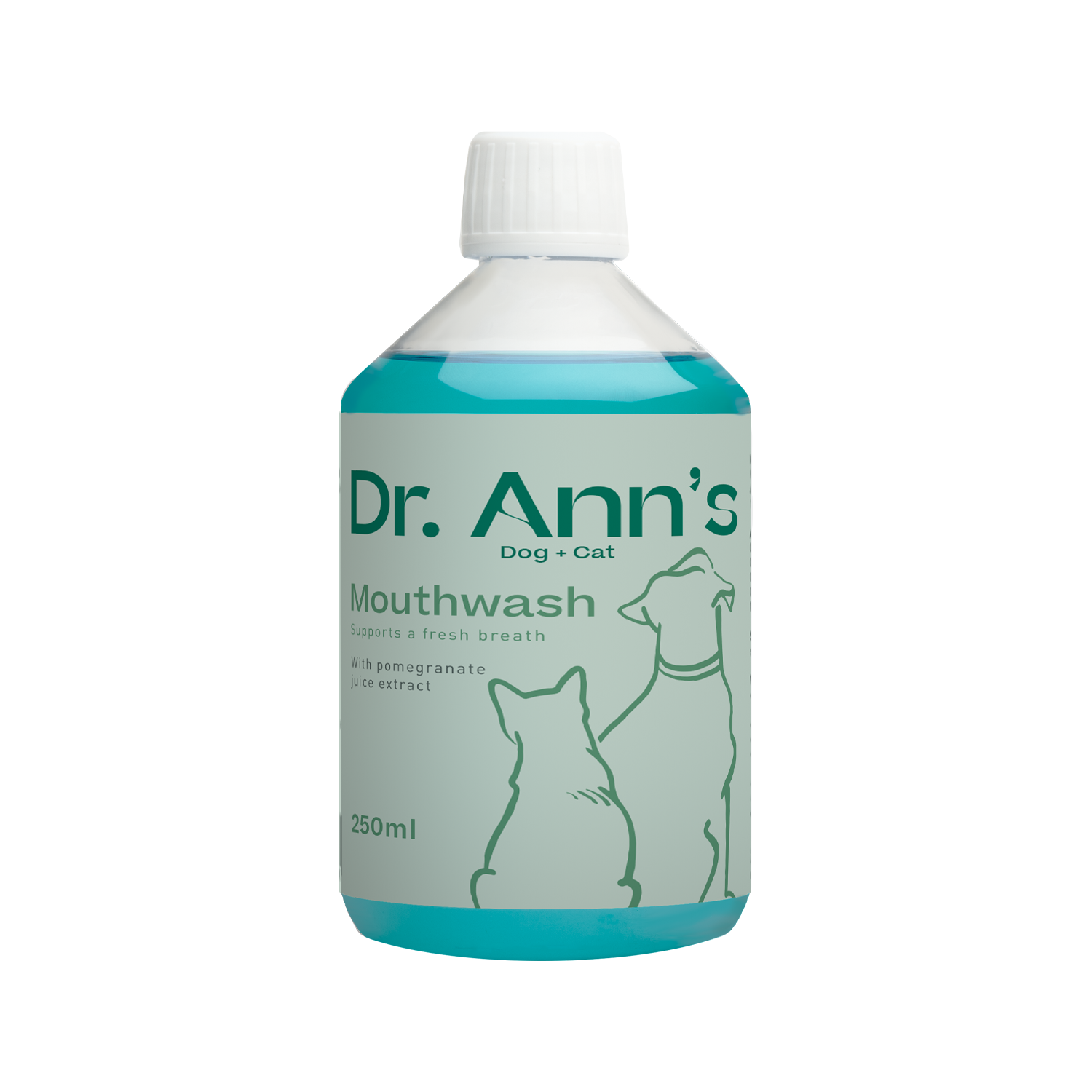 Dr. Ann's Mouth Wash - 250ml