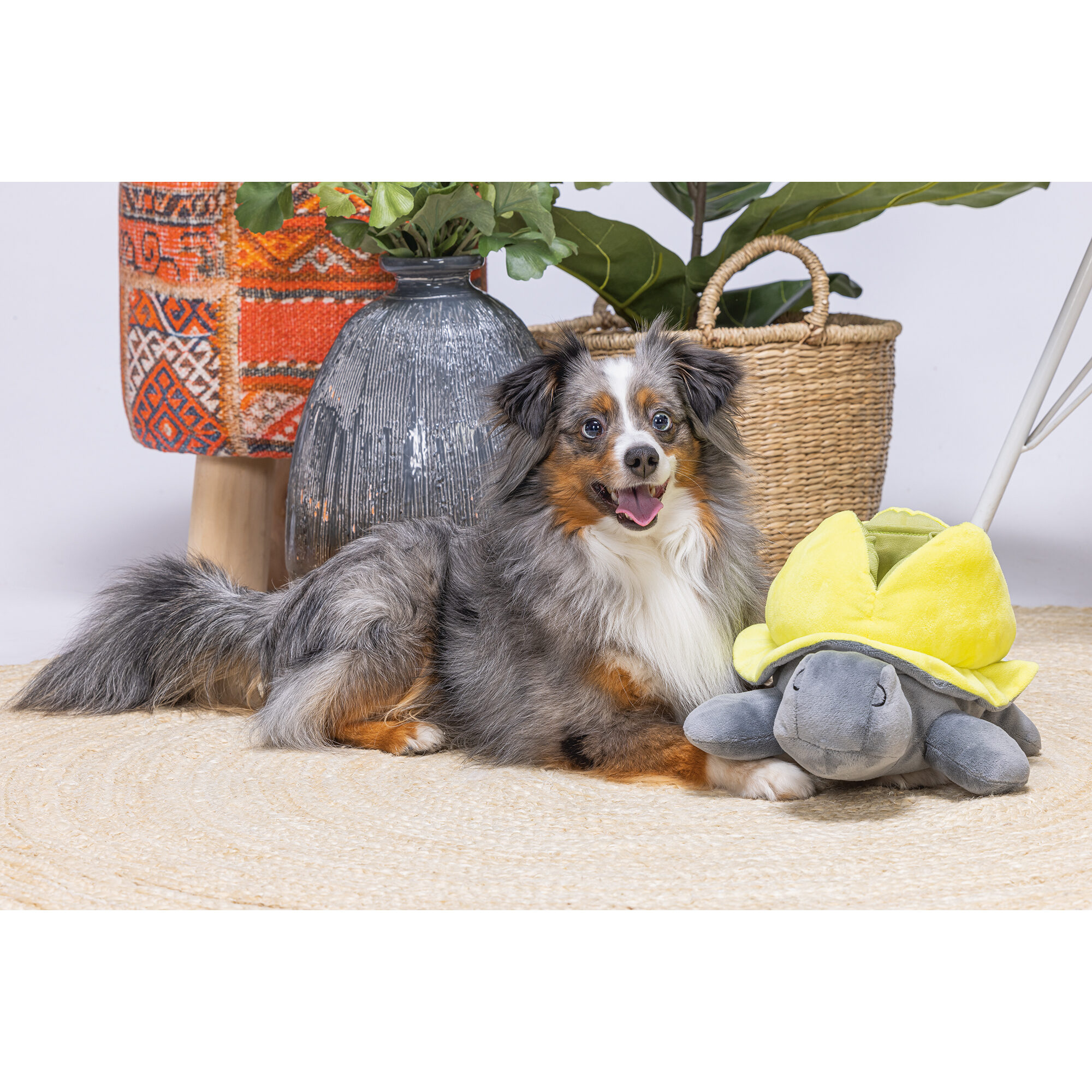 Beeztees Hide And Seek Turtle