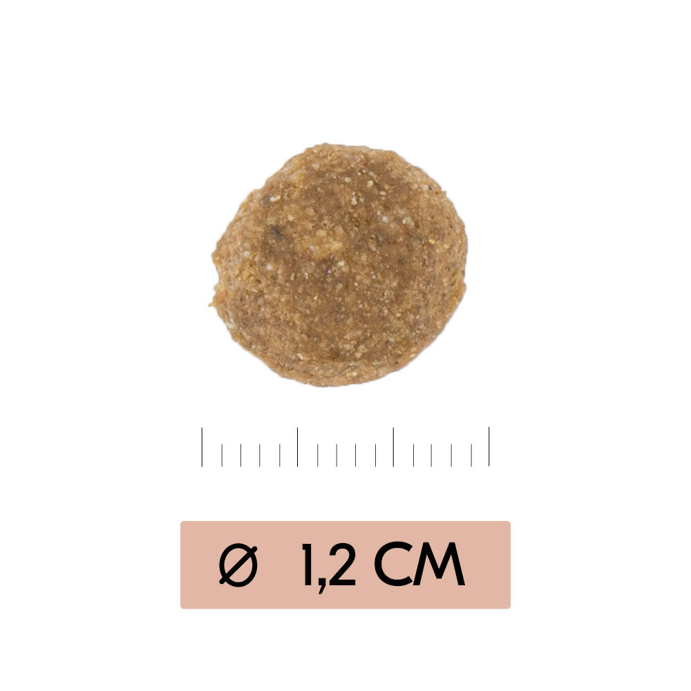 Vetality Gastrointestinal Low Fat Dog - 3kg