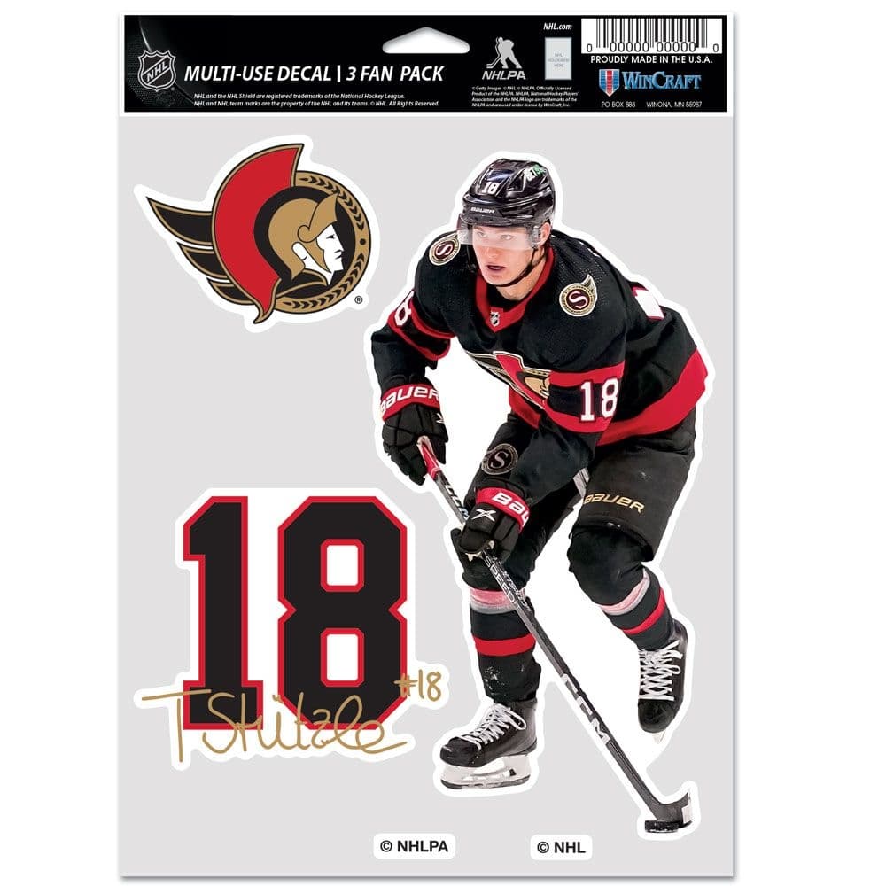 Tim Stützle #18 Ottawa Senators Player NHL Decals Set (3 Pcs.)