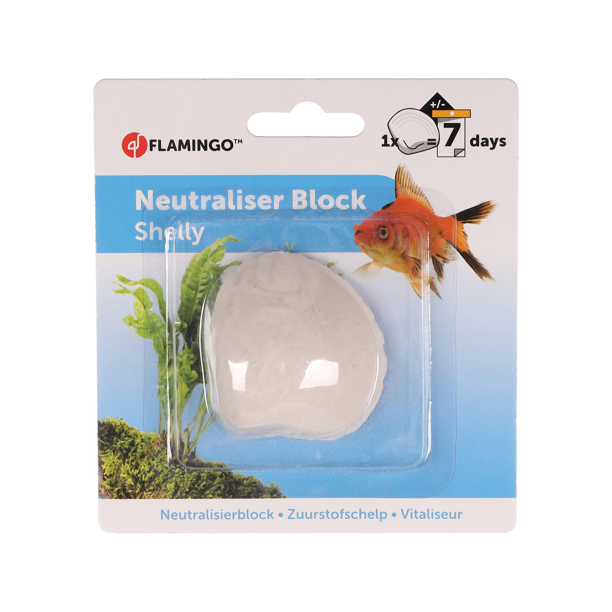 Flamingo Oxygen Shell Shelly