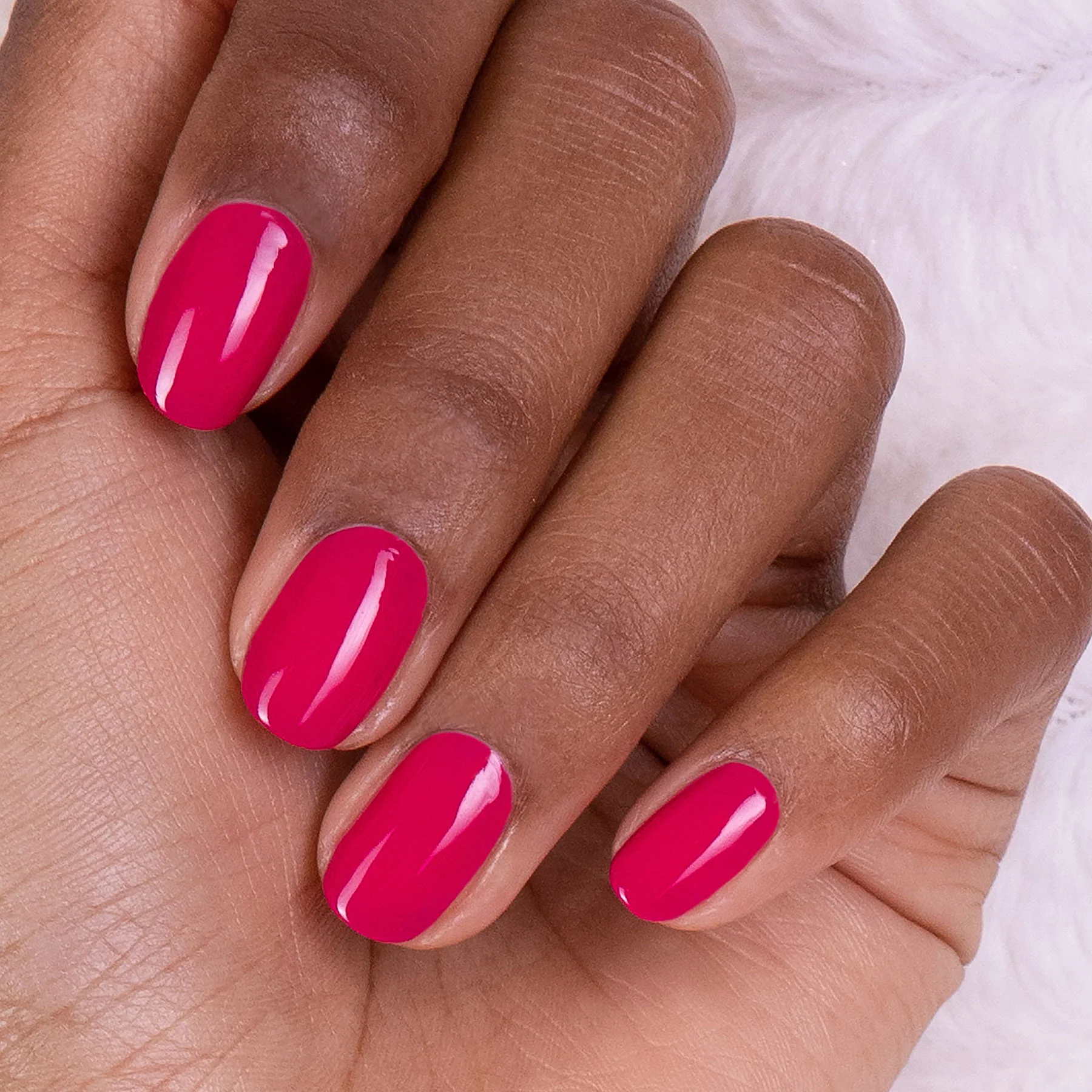 Fuchsia