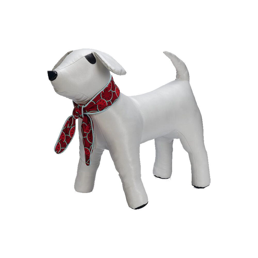 Beeztees Quick Cooler Meloenie Dog Collar - Red - S