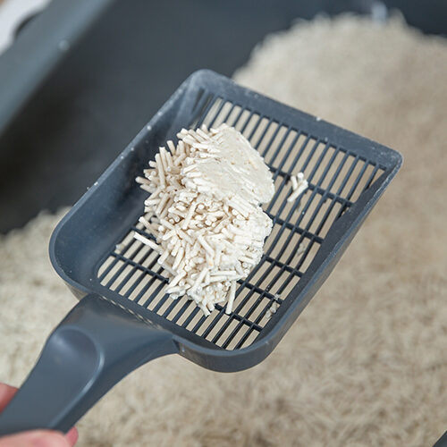 Trixie Tofu Cat Litter - 6l