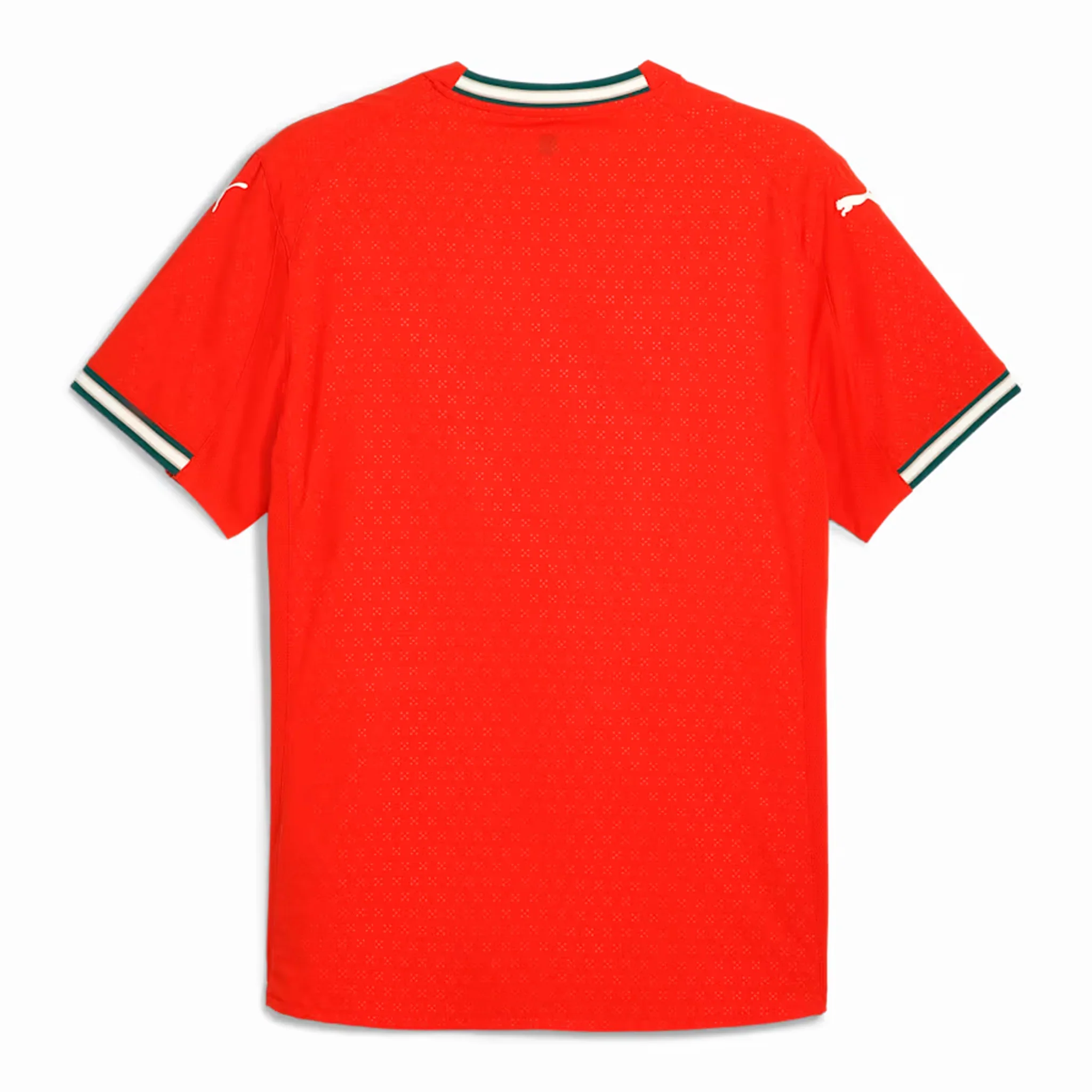 Portugal 2025 Authentic Home Jersey