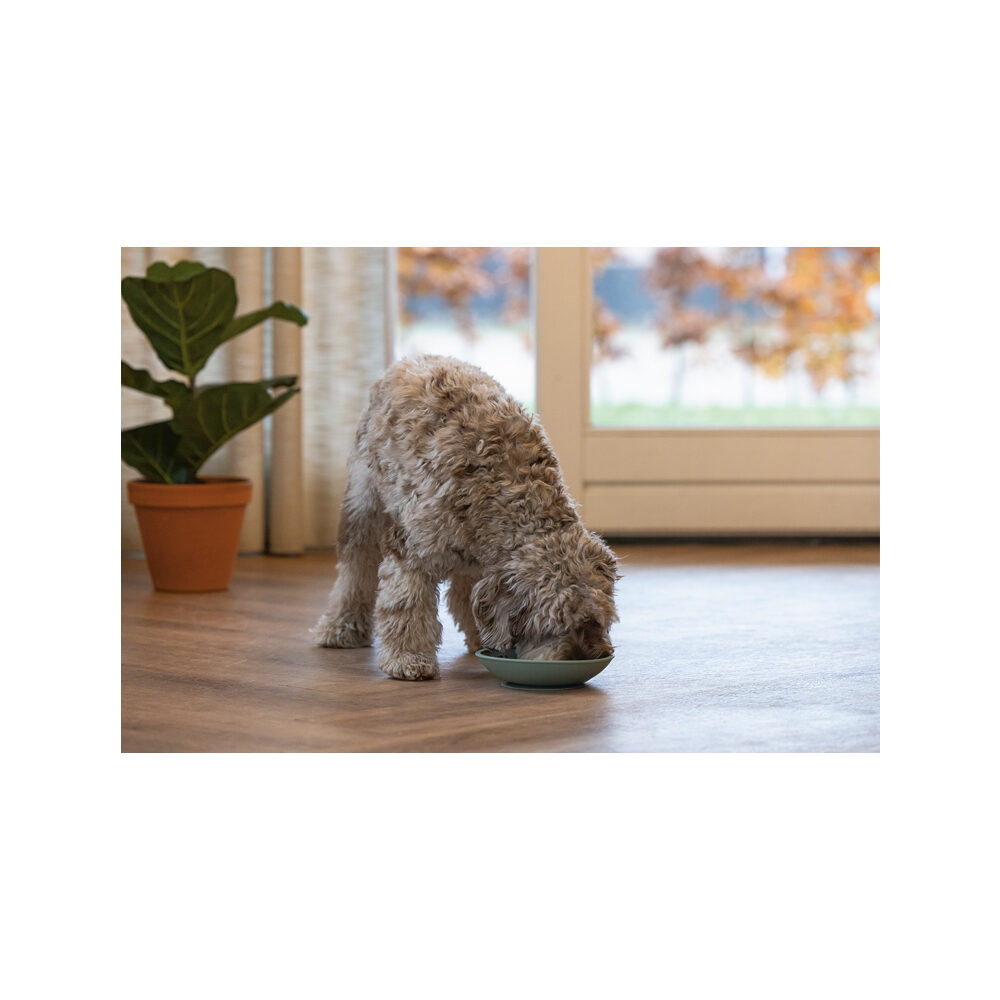 Beeztees Lick Mat Dish - Green