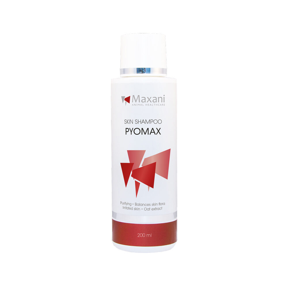 Maxani PyoMax Skin Shampoo - 200ml