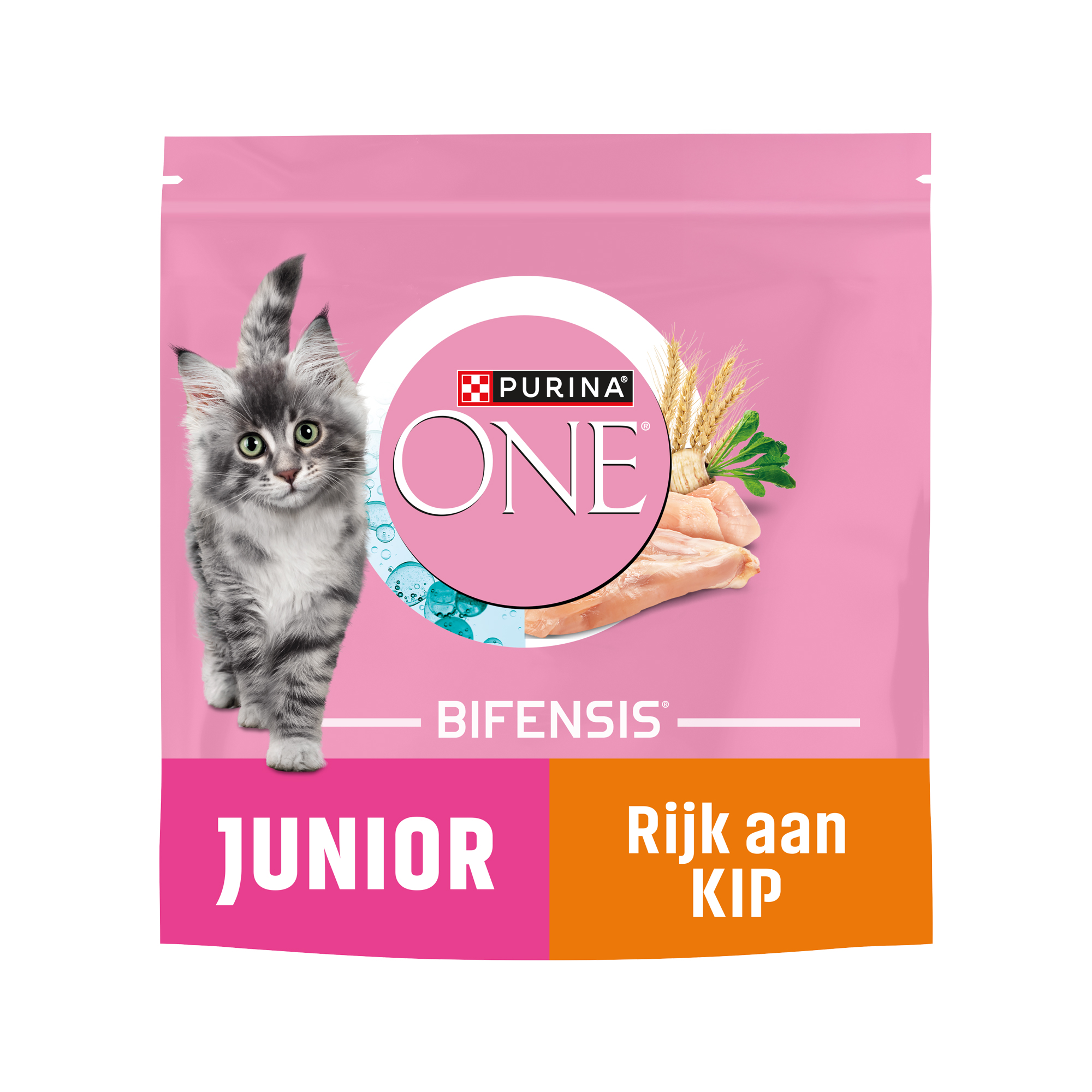 Purina ONE Junior - Chicken - 1,5 kg