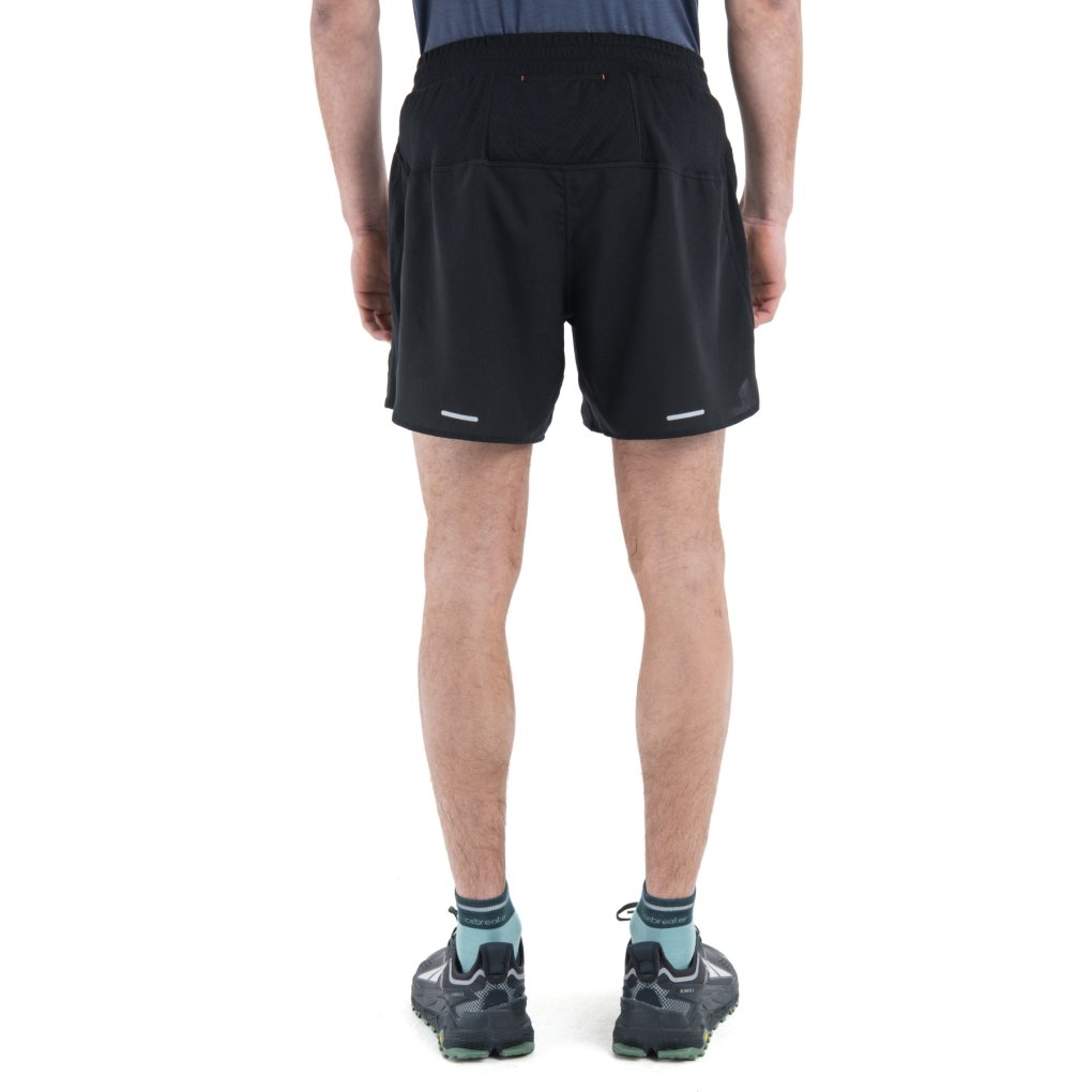 Icebreaker Merino 125 ZoneKnit™ Speed 6